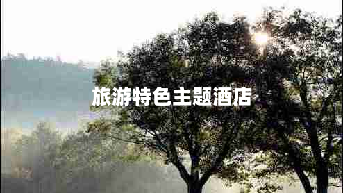 旅游特色主题酒店