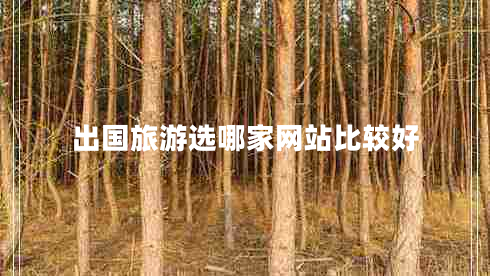 出国旅游选哪家网站比较好