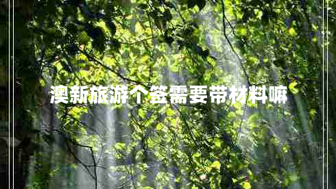 澳新旅游个签需要带材料嘛