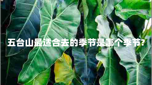 五台山最适合去的季节是哪个季节?