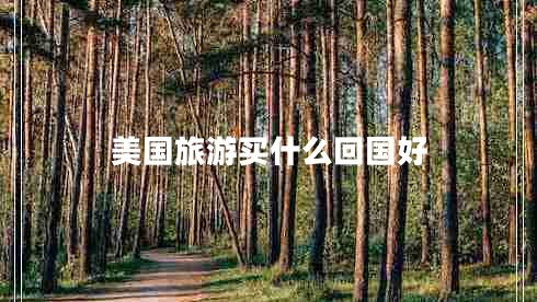 美国旅游买什么回国好