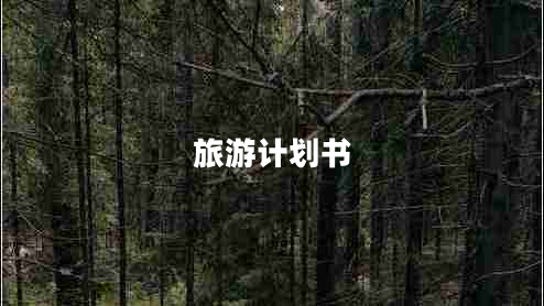 旅游计划书