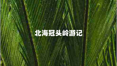 北海冠头岭游记