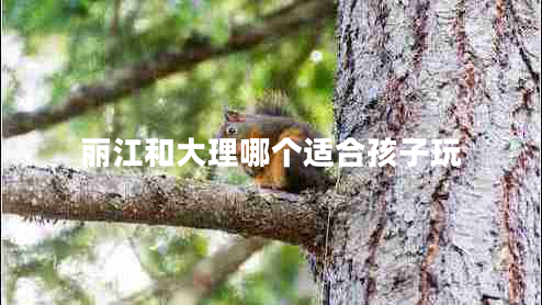 丽江和大理哪个适合孩子玩