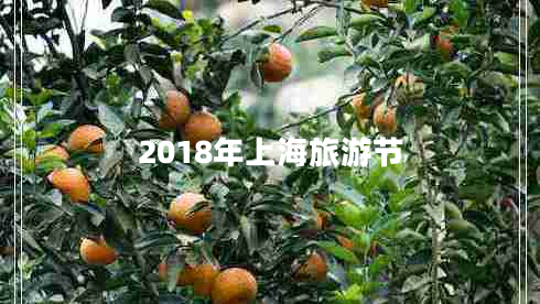 2018年上海旅游节