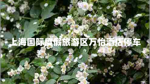 上海国际度假旅游区万怡酒店停车