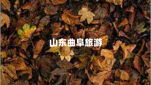 山东曲阜旅游