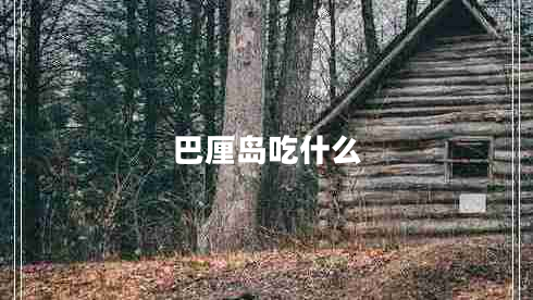巴厘岛吃什么