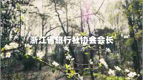 浙江省旅行社协会会长