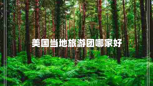 美国当地旅游团哪家好