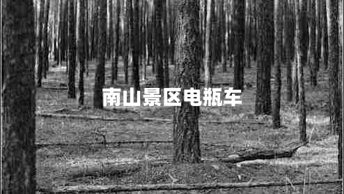 南山景区电瓶车
