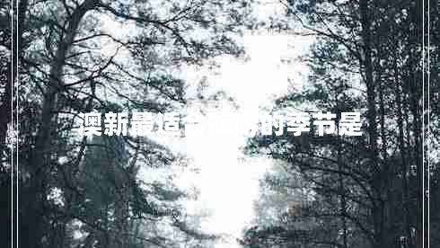澳新最适合旅游的季节是
