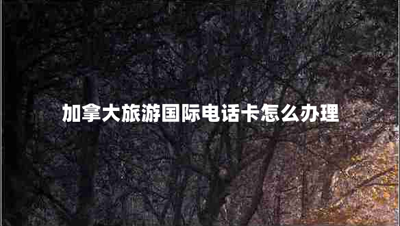 加拿大旅游国际电话卡怎么办理
