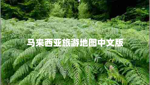 马来西亚旅游地图中文版