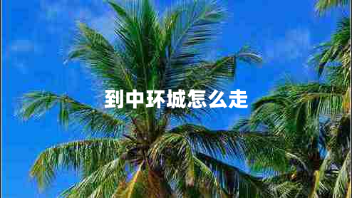 到中环城怎么走