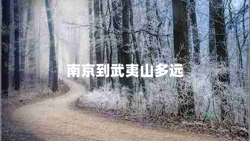 南京到武夷山多远 南京到武夷山多远