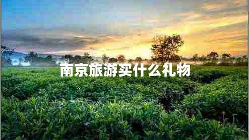 南京旅游买什么礼物 南京旅游买什么礼物