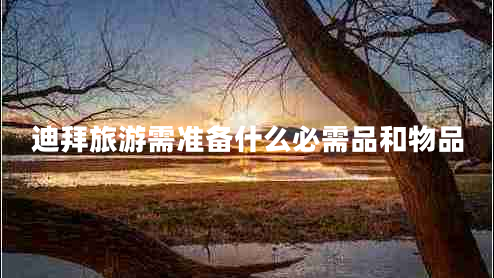 迪拜旅游需准备什么必需品和物品