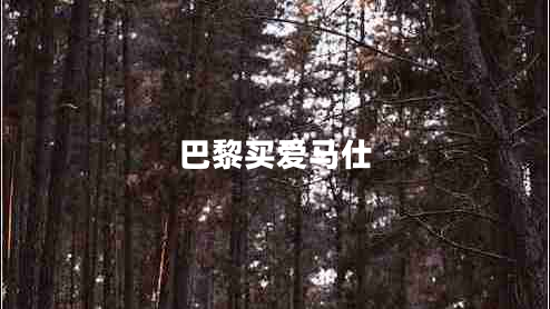 巴黎买爱马仕