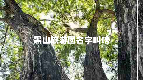 黑山旅游团名字叫啥