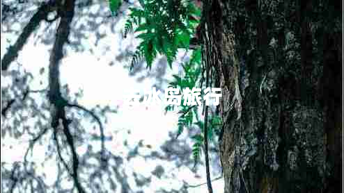 去冰岛旅行