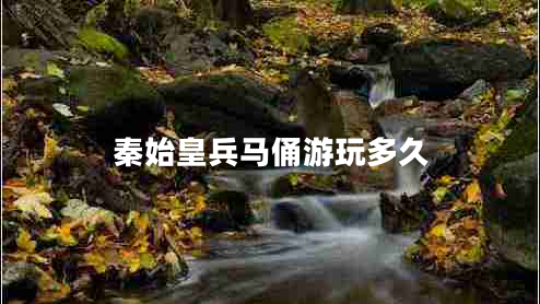 秦始皇兵马俑游玩多久