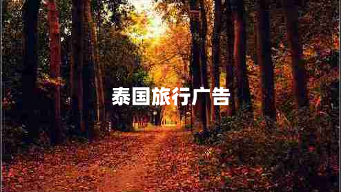 泰国旅行广告
