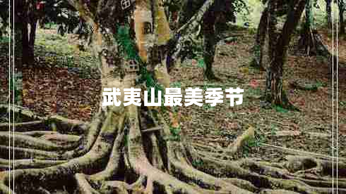 武夷山最美季节 武夷山最美季节