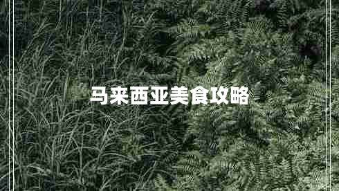 马来西亚美食攻略