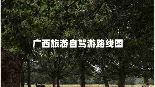 广西旅游自驾游路线图