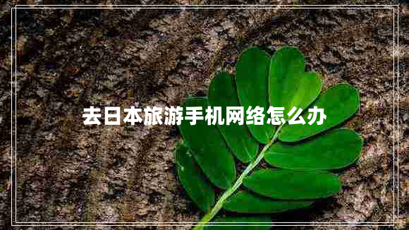 去日本旅游手机网络怎么办