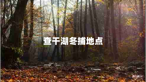 查干湖冬捕地点