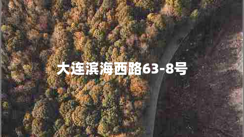 大连滨海西路63-8号