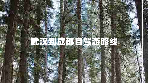 武汉到成都自驾游路线