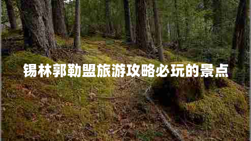 锡林郭勒盟旅游攻略必玩的景点