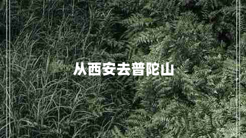 从西安去普陀山