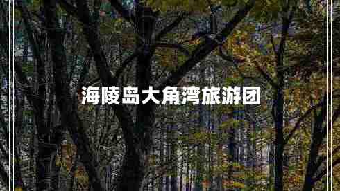 海陵岛大角湾旅游团