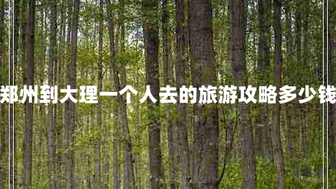 郑州到大理一个人去的旅游攻略多少钱