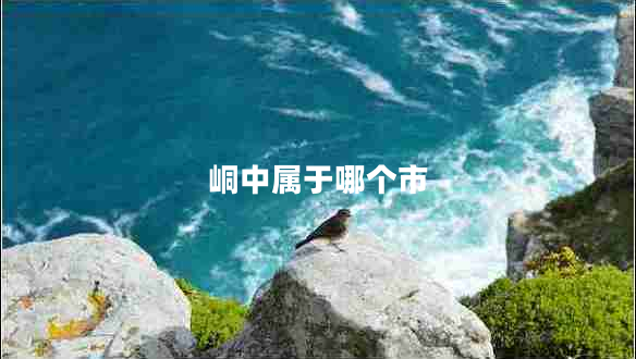 峒中属于哪个市