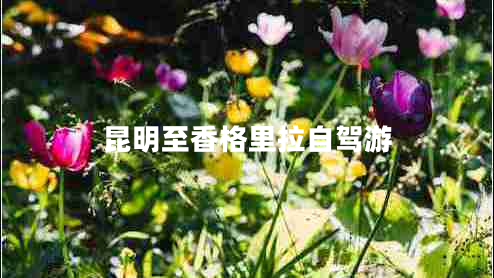 昆明至香格里拉自驾游