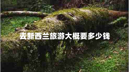 去新西兰旅游大概要多少钱