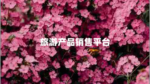 旅游产品销售平台
