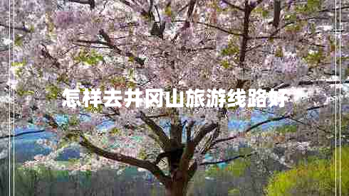怎样去井冈山旅游线路好