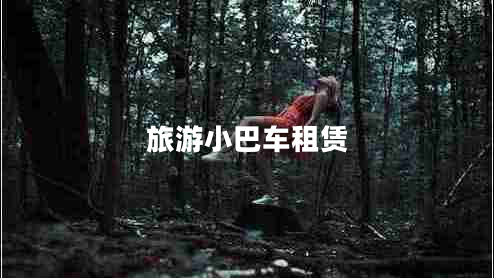旅游小巴车租赁