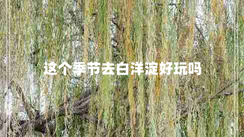这个季节去白洋淀好玩吗