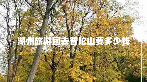 湖州旅游团去普陀山要多少钱