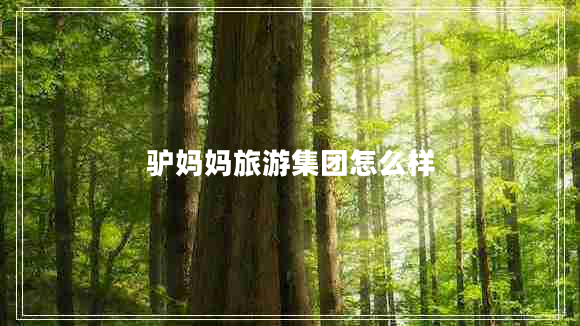 驴妈妈旅游集团怎么样