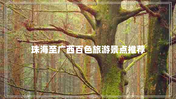 珠海至广西百色旅游景点推荐