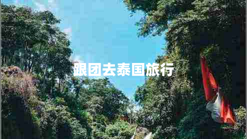 跟团去泰国旅行