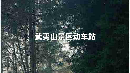 武夷山景区动车站